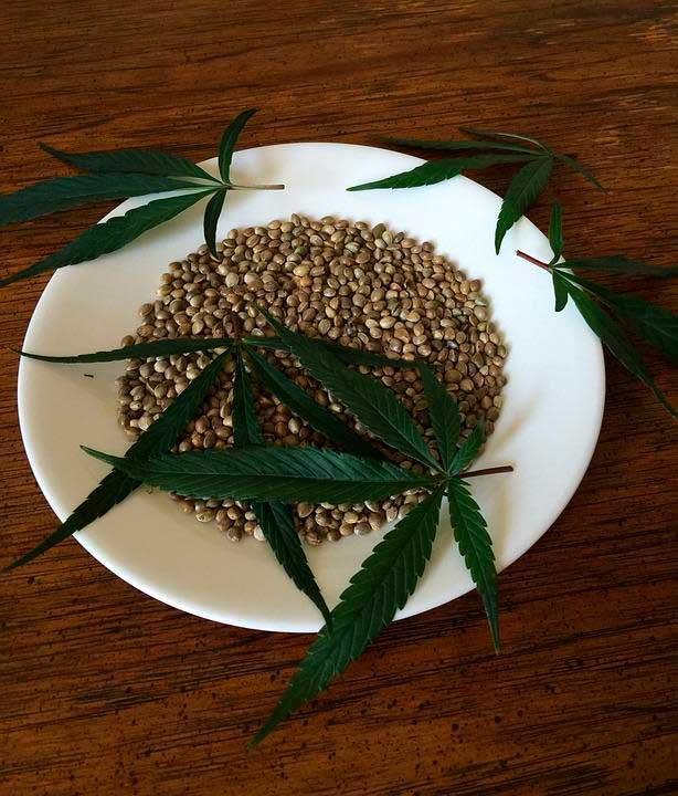 ¿Sabías qué actualmente hay X países que han legalizado el cannabis? 1